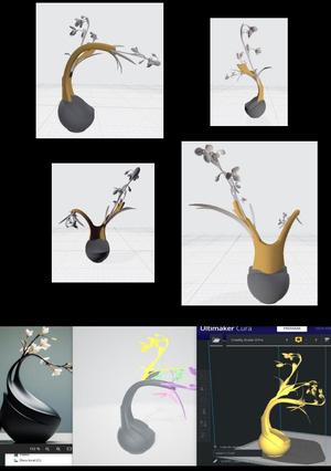 Vase ( JarRon ) orquídea