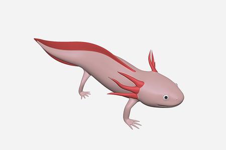 axolotl