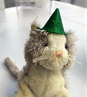 Reading Buddy witch hat
