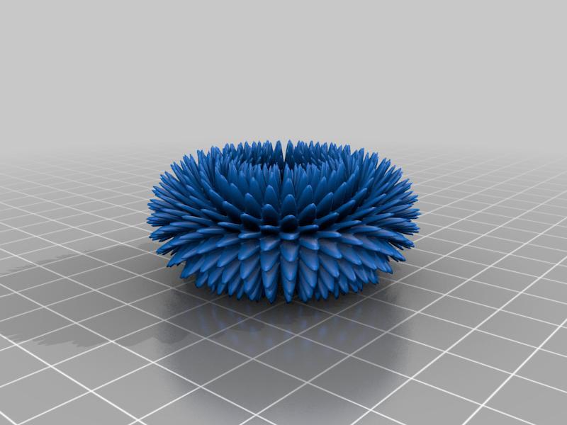 Torus flower