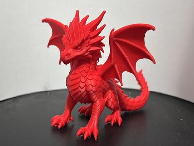 juvenile / teen Dragon Child