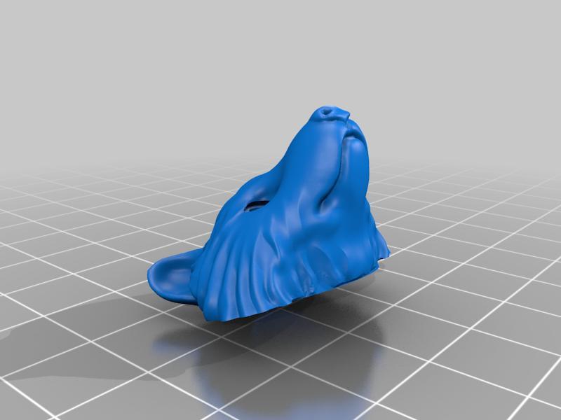 Raccoon head lapel pin