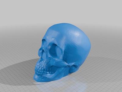 Skull