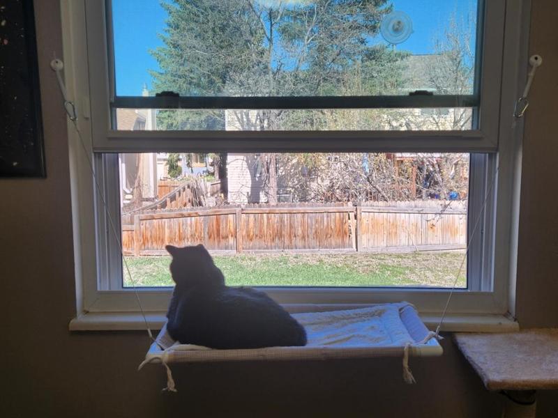 Screw Hook Bar Replacement Thingy for Cat Hammock 