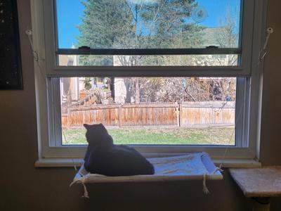 Screw Hook Bar Replacement Thingy for Cat Hammock 