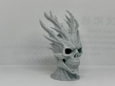 Post-Human Relic Skull art 