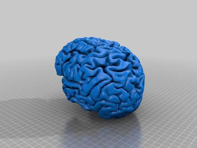 My actual brains