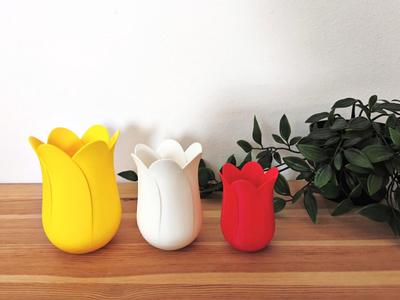 Tulip multi-purpose holders