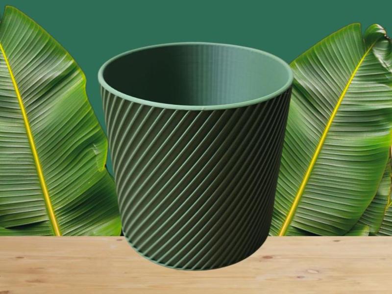 Planter Flower Pot Cactus Pot