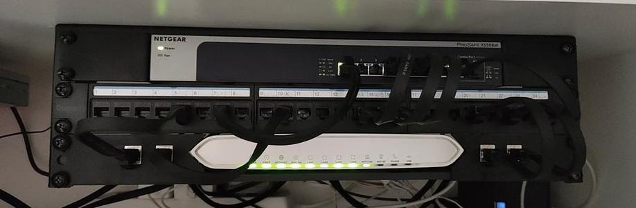 Zyxel AX7501 rack mount cover with Keystone mounting ports