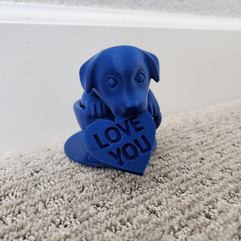 Love you teacup puppy