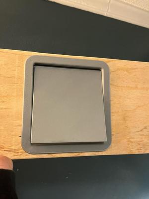Cat Window Door