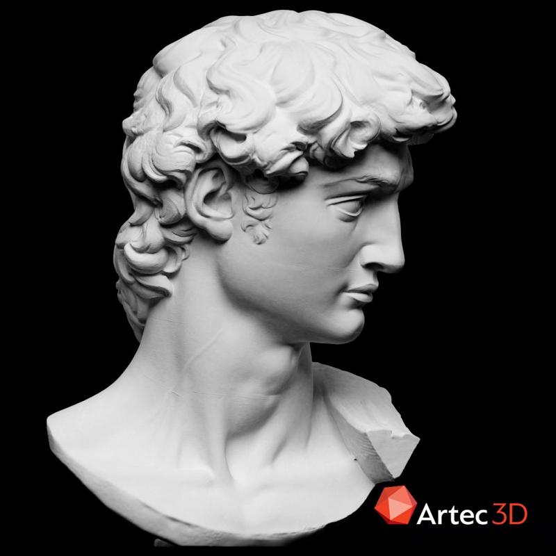 Head of Michelangelo's David