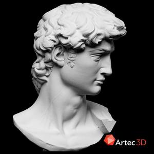 Head of Michelangelo's David