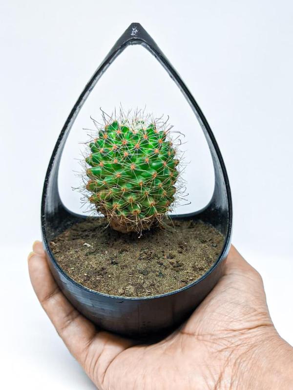 Hangable Planter
