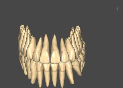 3D Expression Library - Full Anatomy #2