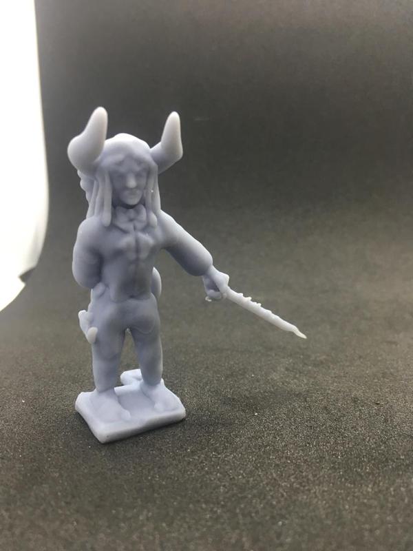 Tiefling Bard wielding Rapier/bow