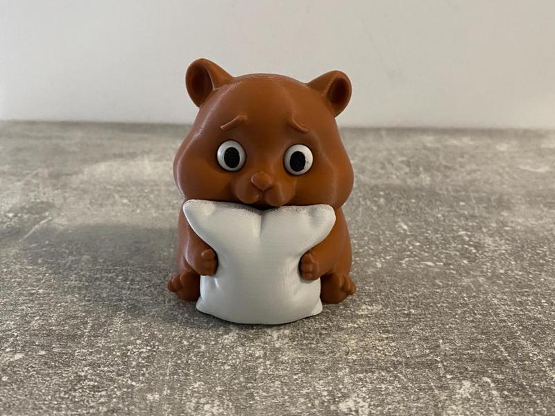 Adorable cute Hamster with Pillow