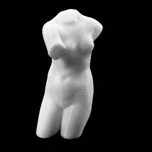 Torso of Venus de MIlo at The Réunion des Musées Nationaux, Paris