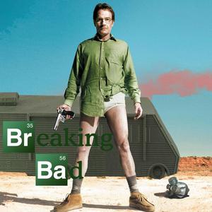 Van- Breaking Bad