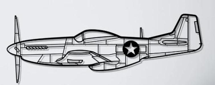 P-51 Mustang Wall Art