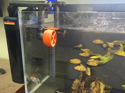 Aquarium Outlet Rotating Fan, Heavy-Duty Version (Various Interfaces, Under 90 Minutes)