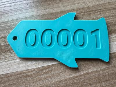 Mini Airplane Luggage Tag, Customizable Text