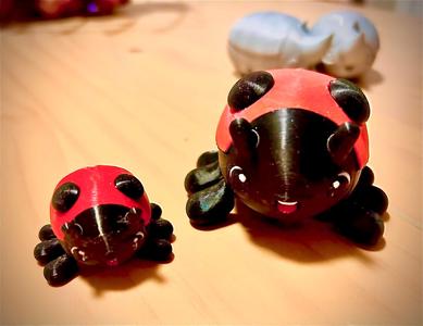 Adalia the Ladybird - Private License