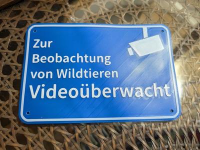 Video surveillance for animals