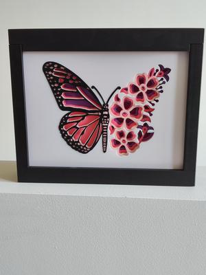 Butterfly Shadow Box
