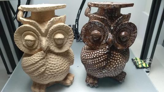 An Owl