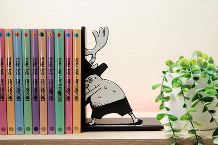 Bookend of Hidden Chopper | One Piece Fan Art 👒