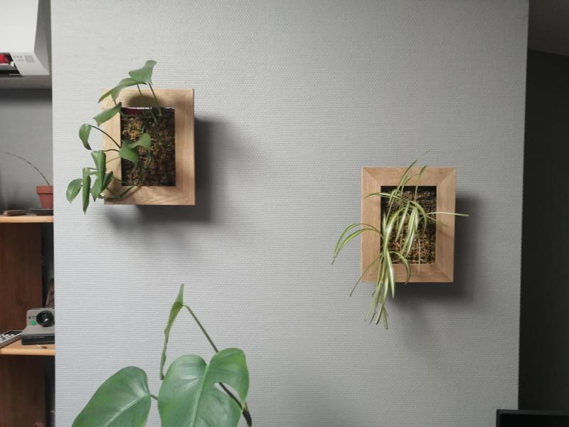 Cadre végétal / Green Wall
