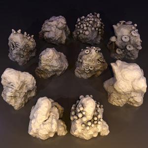 Mossy Mushroom Rocks Collection