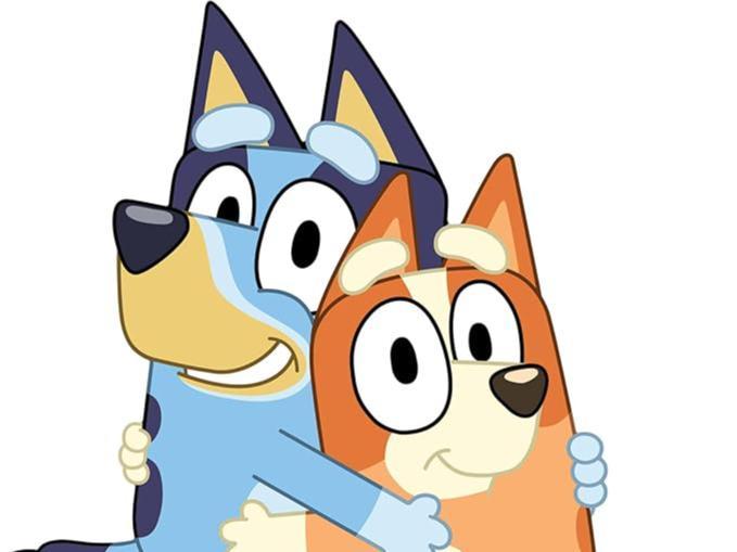 Bluey&Bingo
