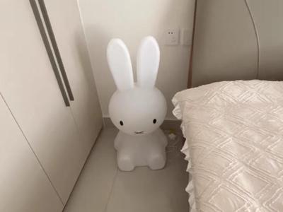 Rabbit piggy bank or mood light