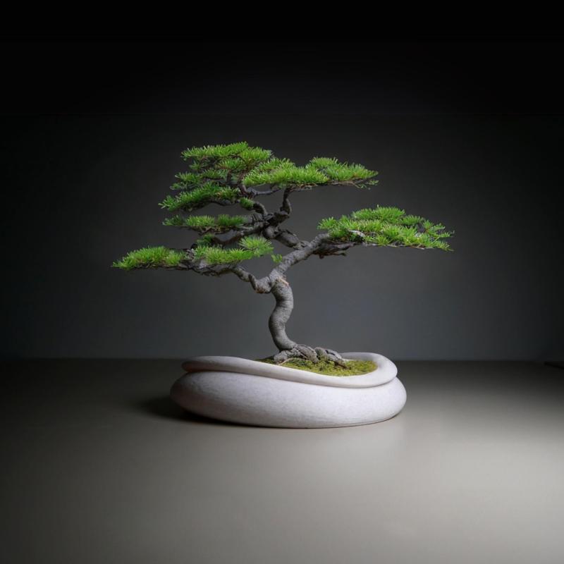 Bonsai Pot