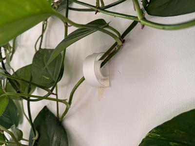 Plant Hook