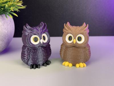 Owl