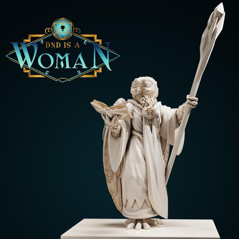 Aarakocra Wizard - Aira - 28/32mm and 75mm