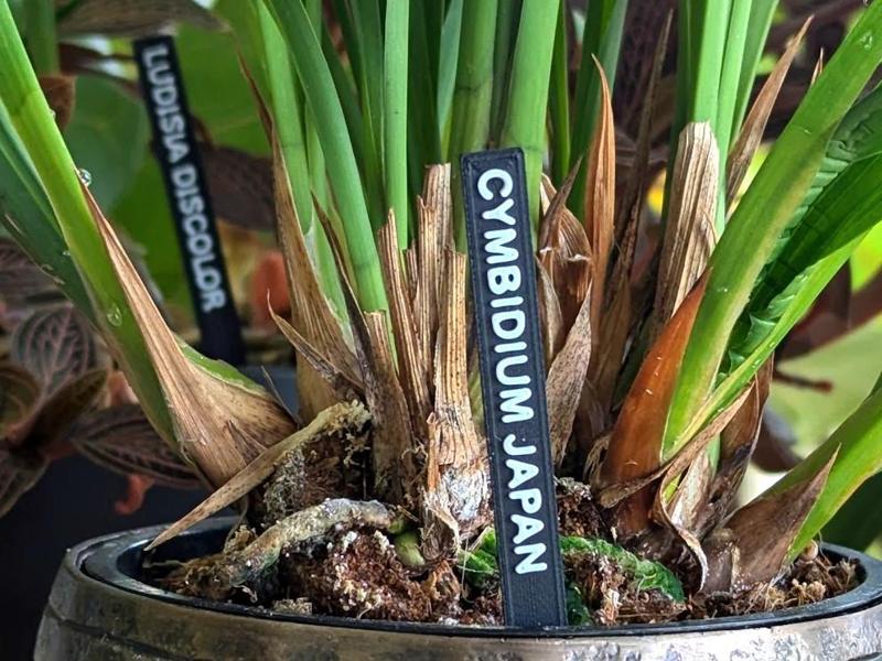 Minimalist Plant Tag