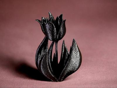 Black Tulip Decor