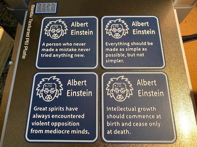 Einstein Coasters
