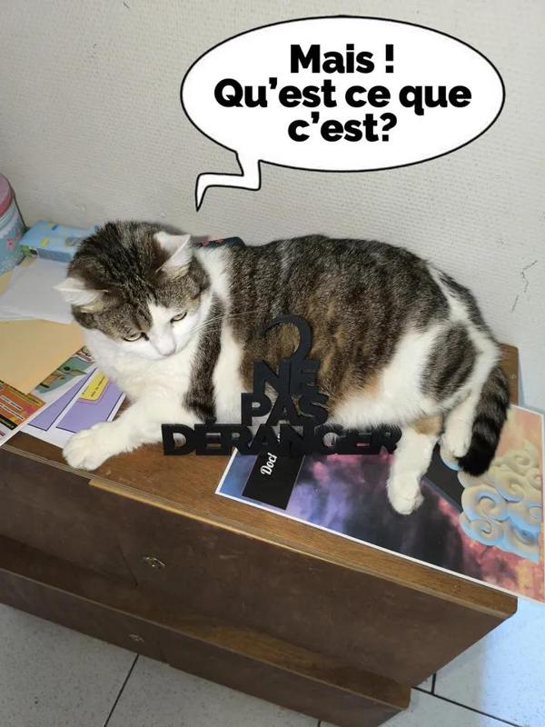 Ne pas déranger (En français)   