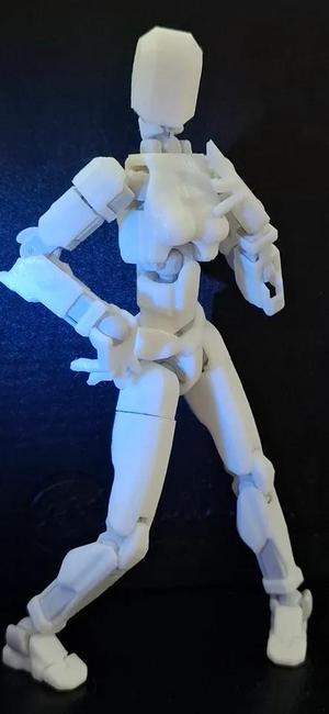 Dummy-13 Female torso ( breasts )   