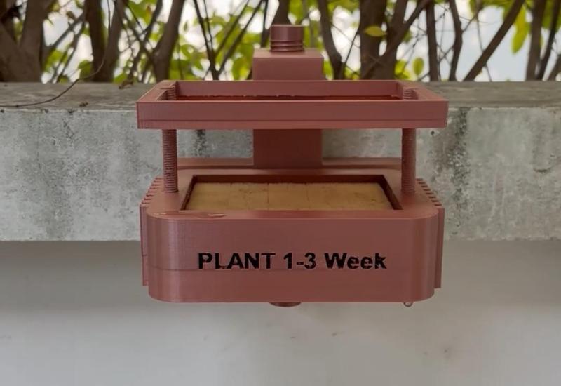 Plant holder 1-3 week