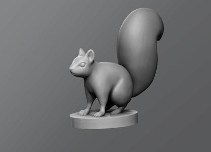 Squirrel