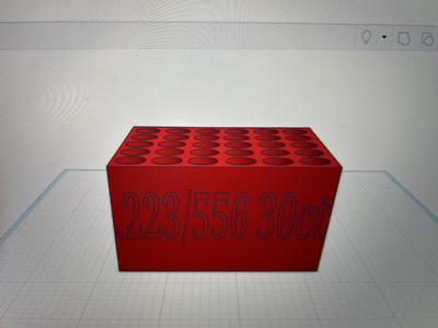 .223/556 bullet holder 30ct