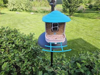 BirdSnap Bird Seed Splash Guard Plus Seed Guard Grid