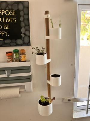 Small Space Vertical Planter for Herbs and More